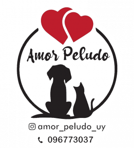 nimble_asset_Logo-Amor-Peludo