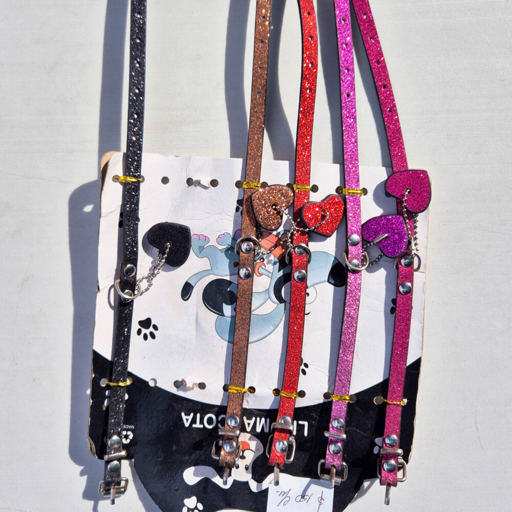 Collares Glitter para perro chiquito