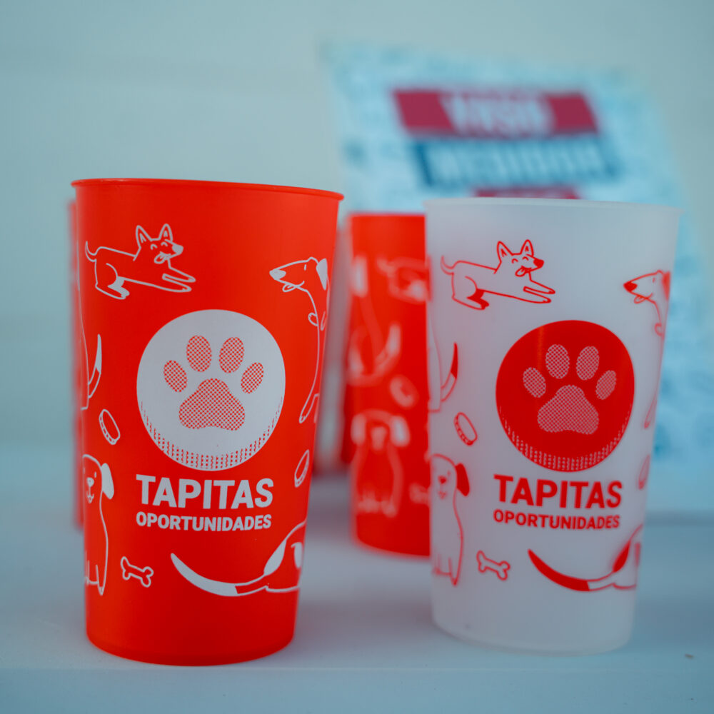 ReVaso Tapitas Oportunidades